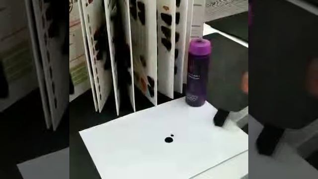 Q8 Professional Шампунь для окрашивания волос - Violet - Q8hair.ru