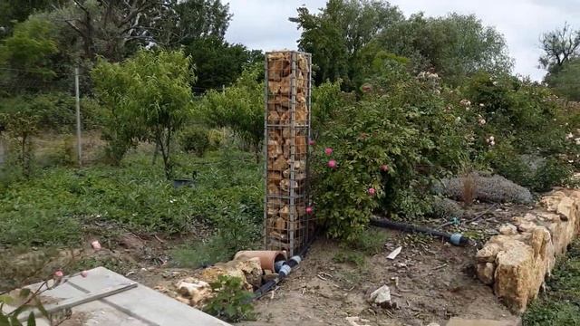 Мускусные розы цветение .Питомник роз Полины Козловой rozarium.biz смотреть онлайн