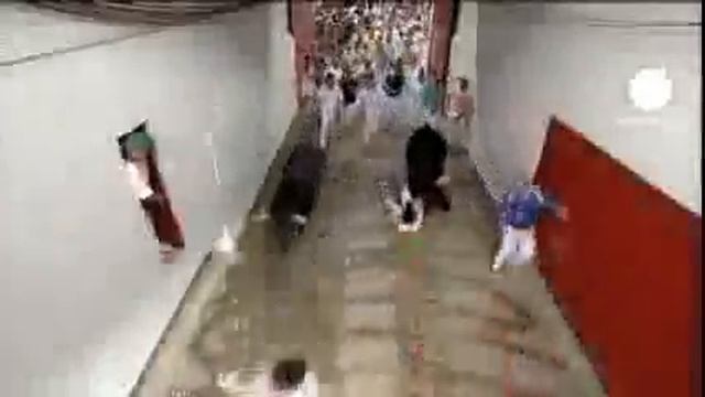Забег с быками в Памплоне- 6 человек ранены смотреть онлайн