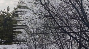 8 марта праздник Женский день. Народные приметы и традиции. Что можно и нельзя делать.Приметы погод