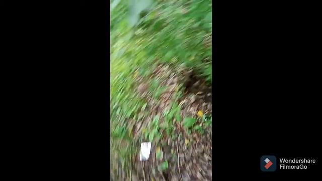 Короткие приколы Lyhanchik на работе😉 смотреть онлайн