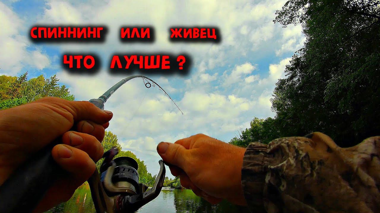 ✔️ Рыбалка в Нижегородской области на живца и спиннинг река Керженец смотреть онлайн