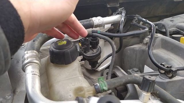 Адсорбер на Рено Флюенс смотреть онлайн