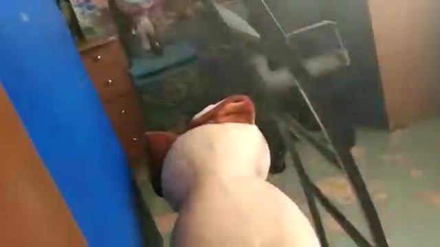 Как я записывал голос для рэпа) смотреть онлайн