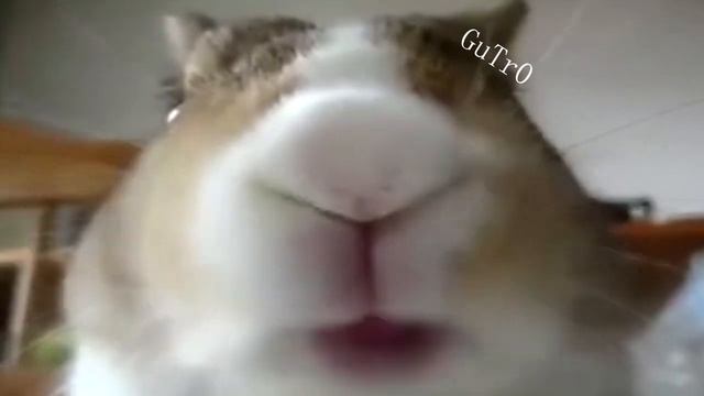 ХОМЯК ХАВАЕТ ПОД КАВЕР ШКОЛЬНИКА KIZARU RUSSIAN MOST WANTED смотреть онлайн