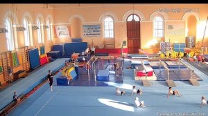 Спортивная гимнастика