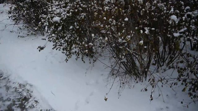 Rifat Gumerov. Mosque of the Emir of Bukhara in Saint-Petersburg смотреть онлайн