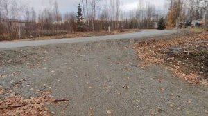 Купили дом на Аляске