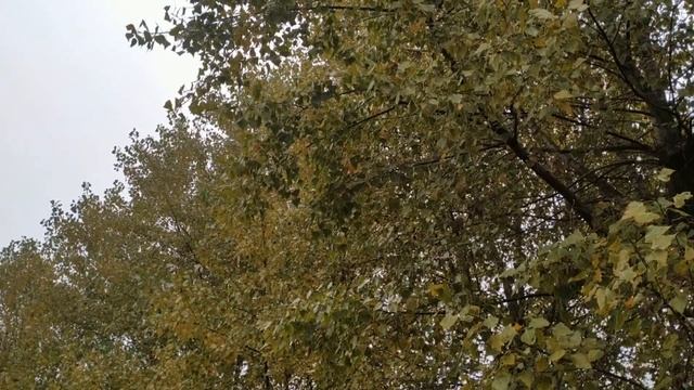 4 ноября праздник Казанской иконы Божией матери . Народные приметы и традиции смотреть онлайн