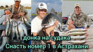 ЛОВЛЯ СУДАКА ДОНКОЙ ( в отвес на блесну)