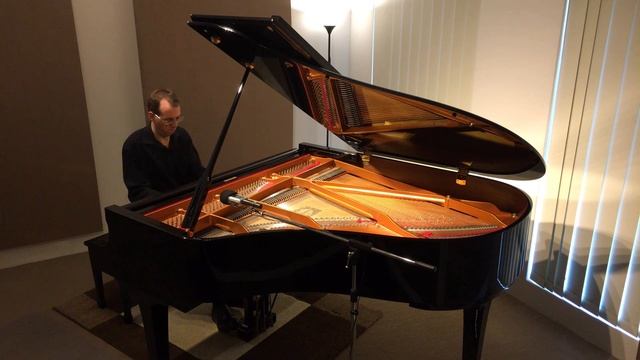 Late Goodbye from 'Max Payne 2' (arranged for Piano - MP3 & Sheet Music) смотреть онлайн