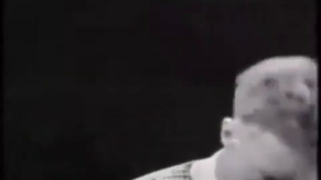 The Trashmen Surfin Bird Bird is the Word 1963 RE MASTERED ALT End Video смотреть онлайн