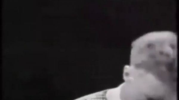 The Trashmen Surfin Bird Bird is the Word 1963 RE MASTERED ALT End Video