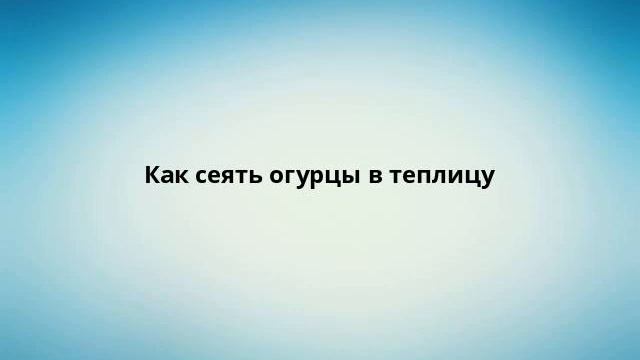 Как сеять огурцы в теплицу смотреть онлайн