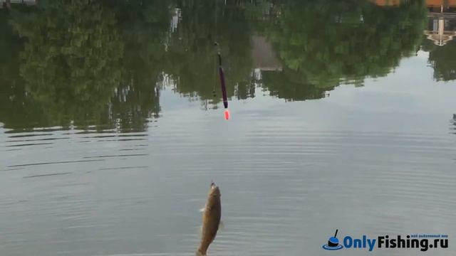 Мещерский пруд. Рыбалка смотреть онлайн