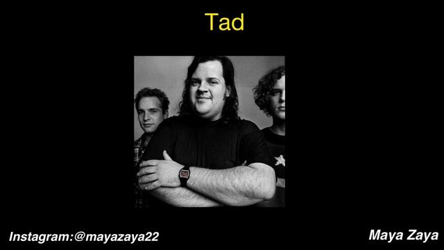 THE REAL GRUNGE AESTHETIC MUSIC | 30+ GRUNGE MUSIC BANDS