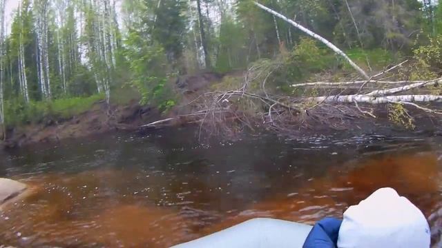 Joker 350 + Navigator 330 и SPS-2 15 л.с. Лесная речка, путешествие, активный отдых смотреть онлайн