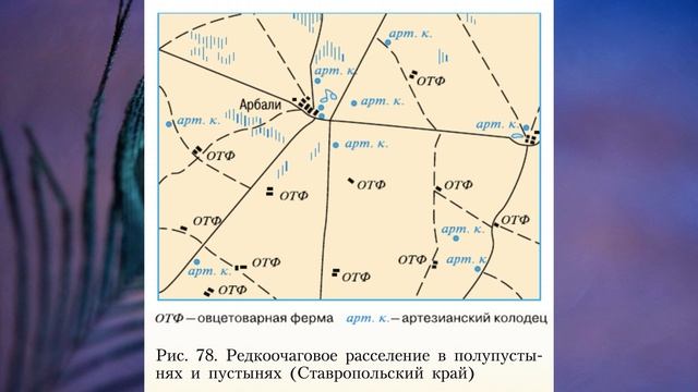 §48 "Южные безлесные зоны", География 8 класс, Полярная звезда смотреть онлайн