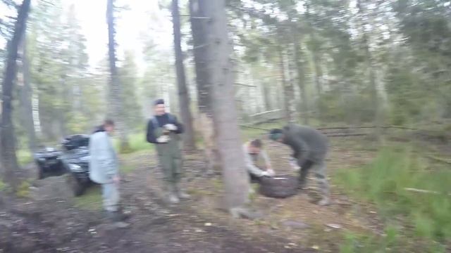 Стрельчиха 2017,Stels 600 Dinli,Polaris 500.,Stels 500,Stels 600 leopard. смотреть онлайн