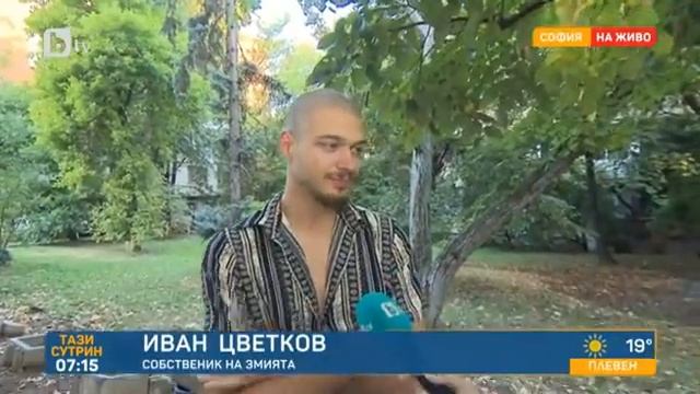 Тази сутрин: Собственикът на избягалия питон: Тази змия е абсолютно дружелюбна смотреть онлайн