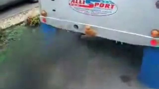 Land Rover TDI V's TVR V8 Off-road Racing engines смотреть онлайн