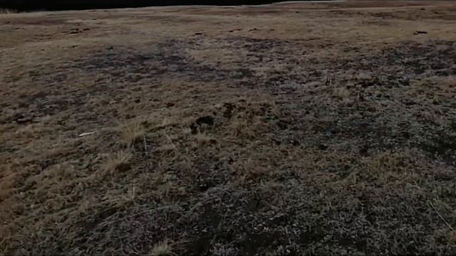 КОГДА ОХОТА ЗАПРЕЩЕНА А ДУША ПРОСИТСЯ  НАЕДИНЕ С ПРИРОДОЙ ALONE WITH NATURE