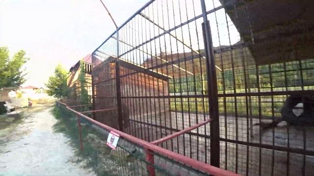 С палаткой по Крыму. Зоопарк, парк развлечений Ишачок.Такси Максим грузовой в Крыму, есть ли работа смотреть онлайн