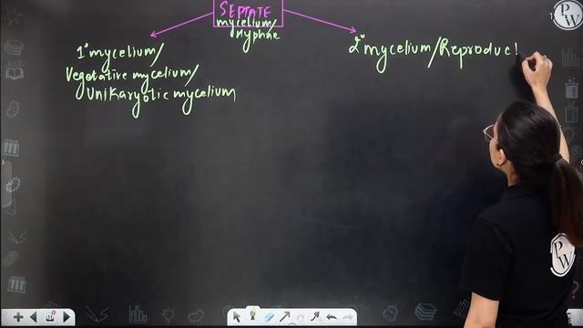 Biological Classification 06 | Kingdom - Fungi l Reproduction in Fungi l Class 11/NEET смотреть онлайн