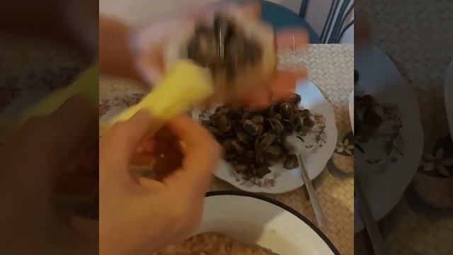 Котлеты с начинкой /Зразы смотреть онлайн