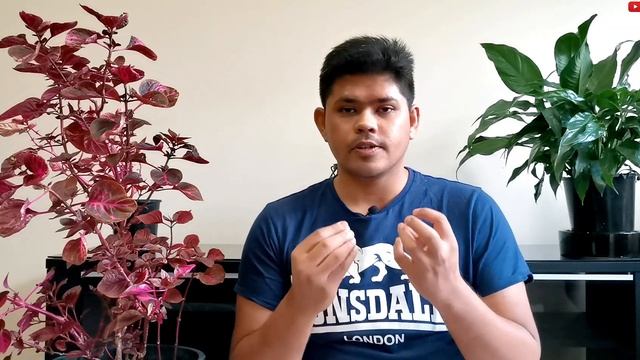 How to Care for Bloodleaf Plant | Iresine Herbstii Care Guide смотреть онлайн