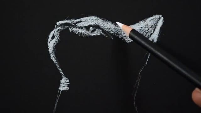 Drawing a Cat - White on Black Paper - Time Lapse смотреть онлайн