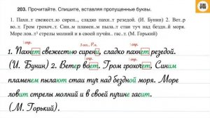 Упражнение 203, стр 99. Русский язык 4 класс, часть 2.