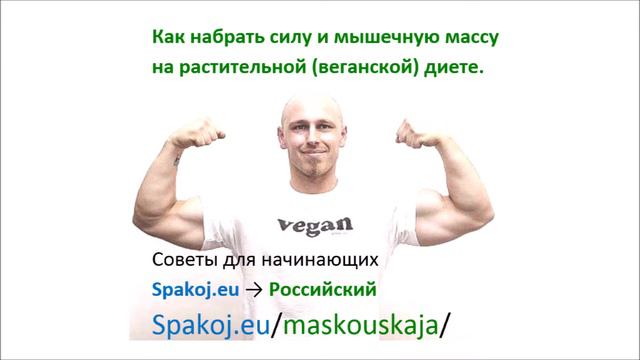 Кумарака Сутта - Мальчики 🙏 Удана 5.4 - Кхуддака Никая - Палийский Канон смотреть онлайн