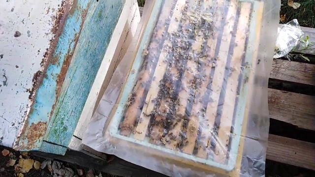 Стакан из эппс на 10 рамок для 16 рамочного дадана смотреть онлайн