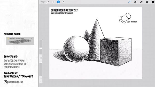 How to Do Crosshatching Illustrations in Procreate | Tutorial + Brushes + Exercises смотреть онлайн