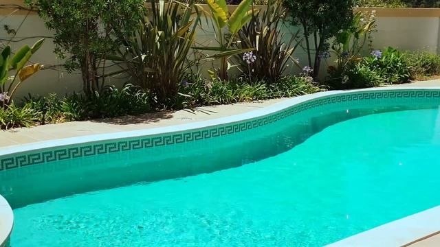 Данусики собираются плавать в бассейне / Веселая история о правилах поведения в бассейне смотреть онлайн