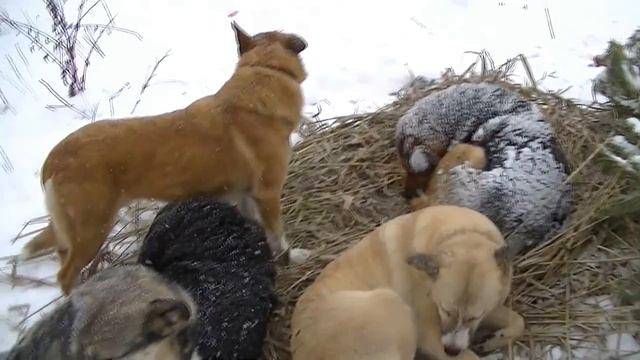 Мир не без добрых людей смотреть онлайн