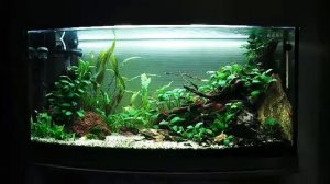 Аквариум травник 100 литров.
