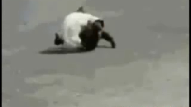 подборка приколов 3 смотреть онлайн