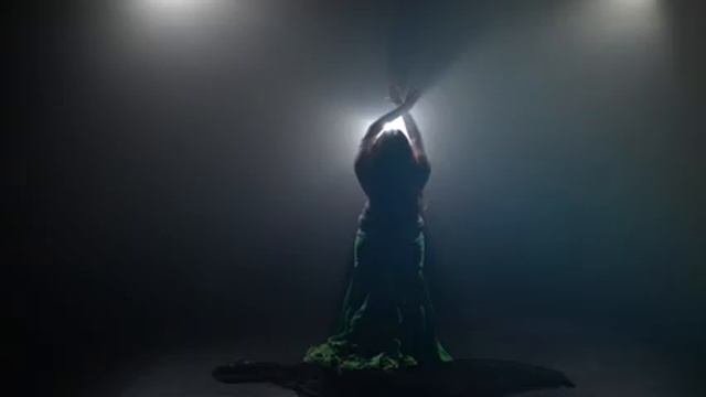 Aziza belly dancer NEW Promo رقص شرقي танец живота Краснодар заказать восточное шоу смотреть онлайн