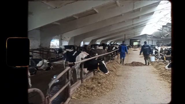 Как работает кормовая добавка ФитоБактоПро? Проверяем опытным путём смотреть онлайн