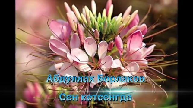 Абдуллах Борлаков - сен кетсенгда смотреть онлайн