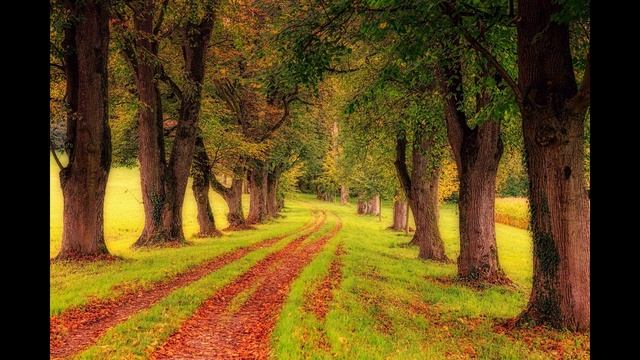 Найкрасивіша Музика у Світі, Спокійна Музика для Роботи та Навчання, Музика для Душі смотреть онлайн