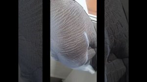 обзор на чучела гусей North Way SuperXPE 5990р из АкваЗон.РУ 3 апреля 2023 г.