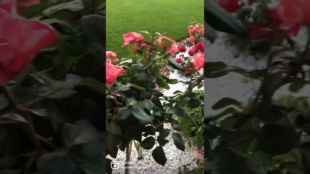 Белая мраморная крошка для декора сада в Казани! смотреть онлайн