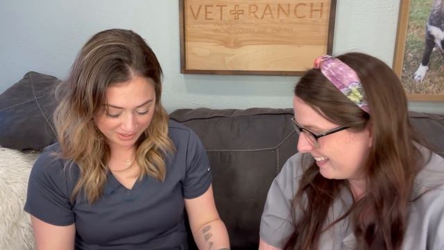 New Teeny Tiny Broken Chihuahua on Vet Ranch RoundUp! смотреть онлайн