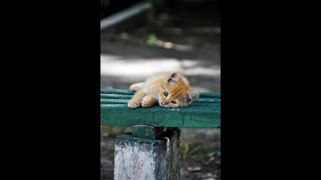 Не проходите мимо! смотреть онлайн