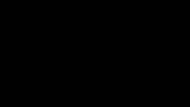 RACCOON SQUAD ASSORTMENT(1/12) RA200100 by Raccoon Fireworks смотреть онлайн