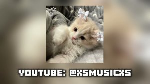 Музыка для флешмоба