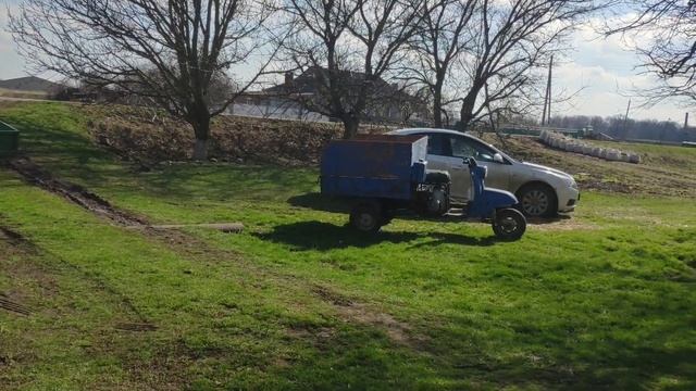 Поле голубики: готовим горшки для посадки смотреть онлайн